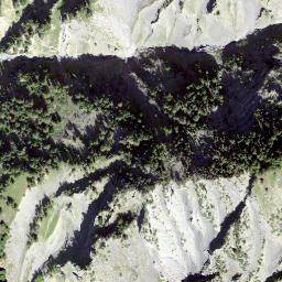Satellite imagery of Single, CH