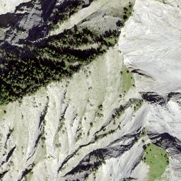 Satellite imagery of Single, CH