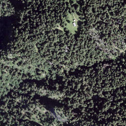 Satellite imagery of Piz di Renten, CH