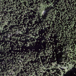 Satellite imagery of Piz di Renten, CH