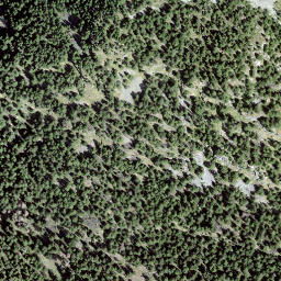 Satellite imagery of Cornasc, CH