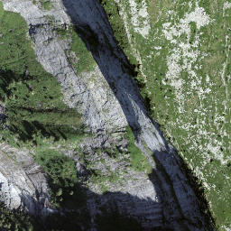 Satellite imagery of Föpia, CH