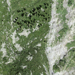 Satellite imagery of Föpia, CH