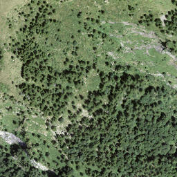 Satellite imagery of Tòr, CH