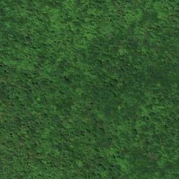 Satellite imagery of Canoe Point, CA
