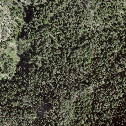 Satellite imagery of Sarmona, CH