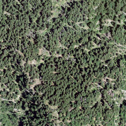 Satellite imagery of Zanella, CH