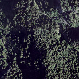 Satellite imagery of Mottan, CH