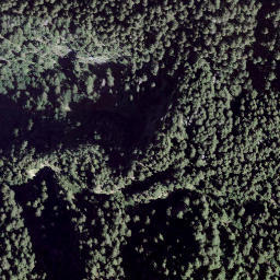 Satellite imagery of Piz di Renten, CH