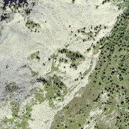 Satellite imagery of Ergischhorn, CH