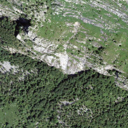 Satellite imagery of Föpia, CH