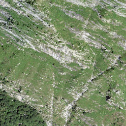 Satellite imagery of Föpia, CH