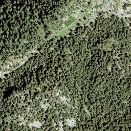 Satellite imagery of Mottan, CH