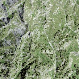 Satellite imagery of Sass Castel, CH