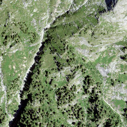 Satellite imagery of Sass Castel, CH