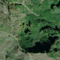 Satellite imagery of Three Tree Point, US