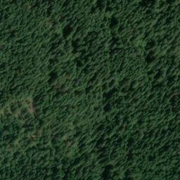 Satellite imagery of Old Man Point, US