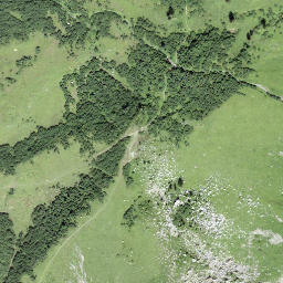 Satellite imagery of Lion d'Argentine, CH
