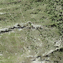 Satellite imagery of Gibidum, CH
