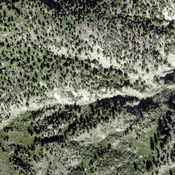 Satellite imagery of Gibidum, CH
