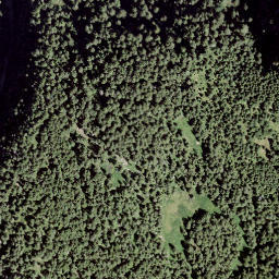 Satellite imagery of Mottan, CH