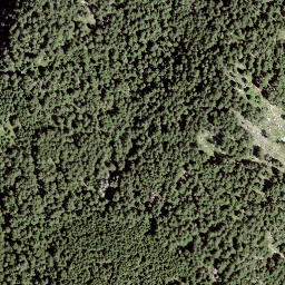 Satellite imagery of Mottan, CH