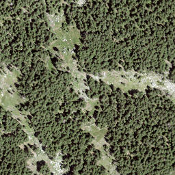 Satellite imagery of Mottan, CH
