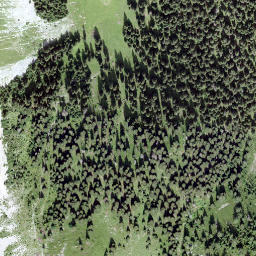 Satellite imagery of Pré Fleuri, CH