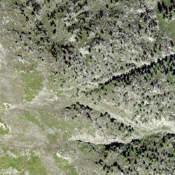 Satellite imagery of Gibidum, CH