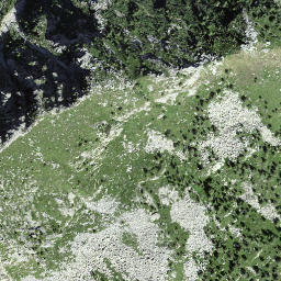 Satellite imagery of Motarüch, CH