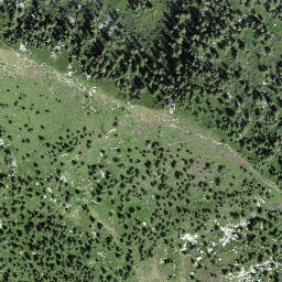 Satellite imagery of Motarüch, CH