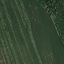 Satellite imagery of Dealul Braniştii, RO