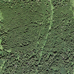 Satellite imagery of La Motte, CH