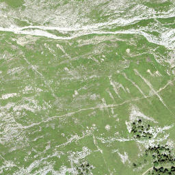 Satellite imagery of Lion d'Argentine, CH
