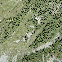 Satellite imagery of Scheidegga, CH