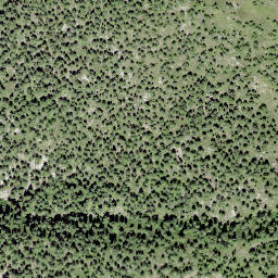 Satellite imagery of Gibidum, CH