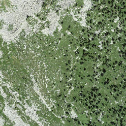 Satellite imagery of Motarüch, CH