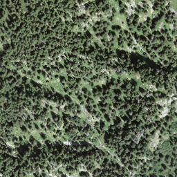 Satellite imagery of Cima di Sbordan, CH