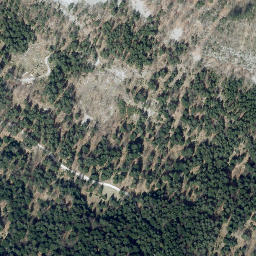 Satellite imagery of Dražgoška Gora, SI