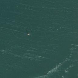Satellite imagery of Harrington Point, US