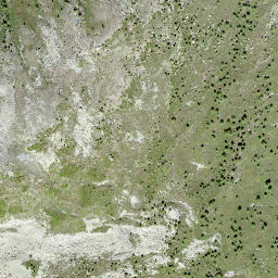 Satellite imagery of Scheidegga, CH