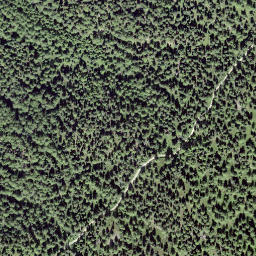 Satellite imagery of Obers Gibidum, CH