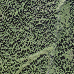 Satellite imagery of Obers Gibidum, CH
