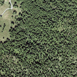 Satellite imagery of Goldbiel, CH