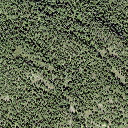 Satellite imagery of Goldbiel, CH