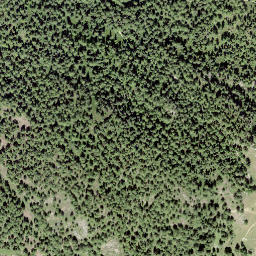 Satellite imagery of Goldbiel, CH