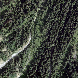 Satellite imagery of Giümelin, CH