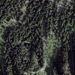 Satellite imagery of Giümelin, CH