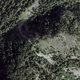 Satellite imagery of Giümelin, CH