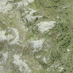Satellite imagery of Scheidegga, CH